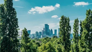 A view of the city of London from a green viewpoint, where a lot of financial organisations operate, providing a new opp[ortunity for the sector to embrace purpose as a driving force.