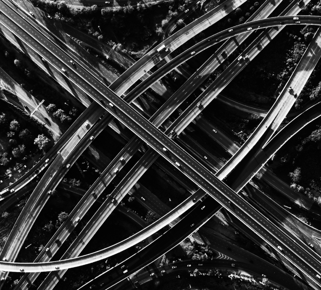 Values, Behaviours and Purpose | blue goose