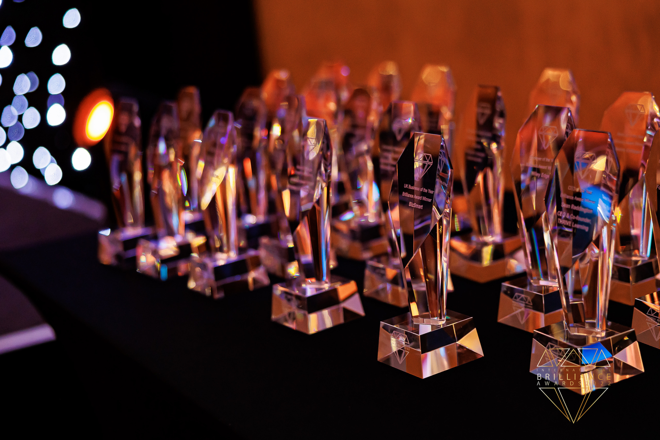 Brilliance Awards trophies Blue Goose winner