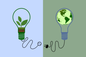 Sustainability graphic of a lightbulb and the globe
